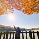 연세지니소아청소년과의원 이미지