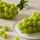 서진농장 이미지