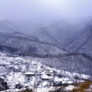 두메산골 - 용인시 처인구 | 두메산골