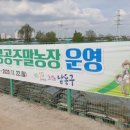 흥농농약종묘사 이미지