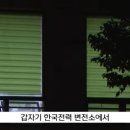 뽕쟁이