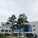 압해읍농업기술센터 | 전남광주통합특별시 신안군 압해읍 농업기술센터 데코타일철거 &amp; 샌딩 전남마루철거 한사장