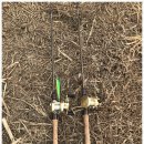 청도천2 이미지