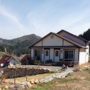 아리숲펜션 이미지