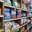 도그버디 이미지