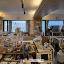 사계절내과의원 이미지