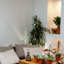 조경기능사 필기과정 이미지