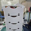 서*출