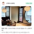 고양이사랑채 이미지