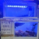 서부매운탕 | 대구횟집 서부정류장 찌개다시만 한상, 동경회수산 | 방어·모듬회·안주물회·모듬해산물 솔직후기