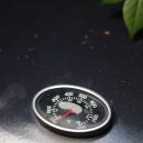 수원-0380 네이버블로그