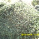 석전농장 이미지