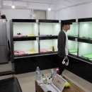 WALWAL(왈왈) 이미지