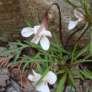 열창노래방 이미지