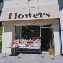 도즈스윗워즈