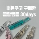 에스티씨엘 | 클랍앰플 30데이즈 1년 실사용 후 장단점 후기
