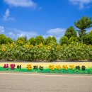 솟대마을 이미지