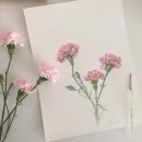 수채 캘리그라피 이미지