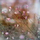 컴퓨터(사무 자동화) 이미지