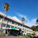 제주대학교교육대학 부설초등학교 이미지