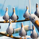 부산갈매기 이미지