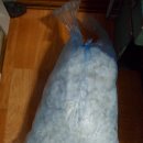 곡성생태체험관 이미지