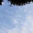 수복당구장 | [알바후기모음]알바순이의 알바후기들(홀서빙 알바부터 이색알바까지)