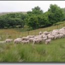 동화목장 이미지