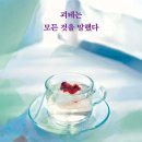 소설/스즈키 유아의 괴테는 모든 것을 말했다 이미지