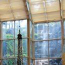 현이양이 이미지