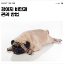 개님살롱레이크사이드 이미지