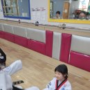 연세 휘트니스 태권도 이미지