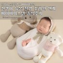 신생아 뉴본 촬영 조리원 연계 베이비파스텔 솔직후기