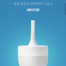미니썸(minisome)