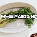 땅두릅 꼬치전 햄 손질 팁 두릅전 만드는 법 이미지