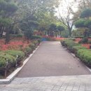 산호동532 이미지