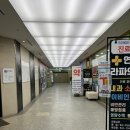 역삼동물약국 | 역삼동 선릉역 유아미술 체험형 학원 물감토마토 백퍼만족 후기
