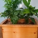 산호수농장 이미지