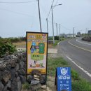 용수씨 | [용수씨] 제주 한경면 카페 떡라면 & 인삼쉐이크 후기