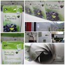 영동 해피 팜 이미지