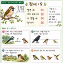 참새 연작 10장 이미지
