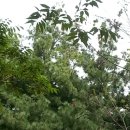 팔각정경로당 이미지