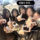 우리할매떡볶이 고등점 | 음? 내가 벌써 고등학생이라고?