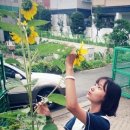 모랜