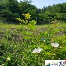 두란농장 이미지