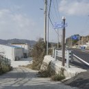 진도농협 울금가공사업소 이미지