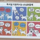 어디Eodi