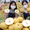 화산유통 이미지