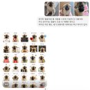 팔월팔일 | 블로그 OGQ 스티커 이모티콘 만드는 법! 반려 없이 한번에 승인 받은 후기 (AI활용/배경제거/무료폰트)