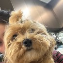 멍언니 쌀롱 이미지